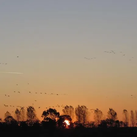 Haus Dreischlaefer Deluxe *