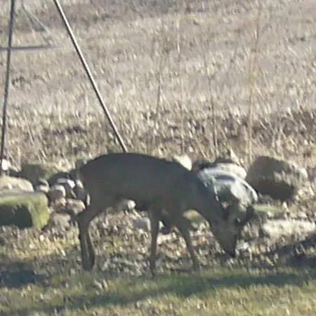 Haus Dreischlaefer Deluxe Casa de Férias